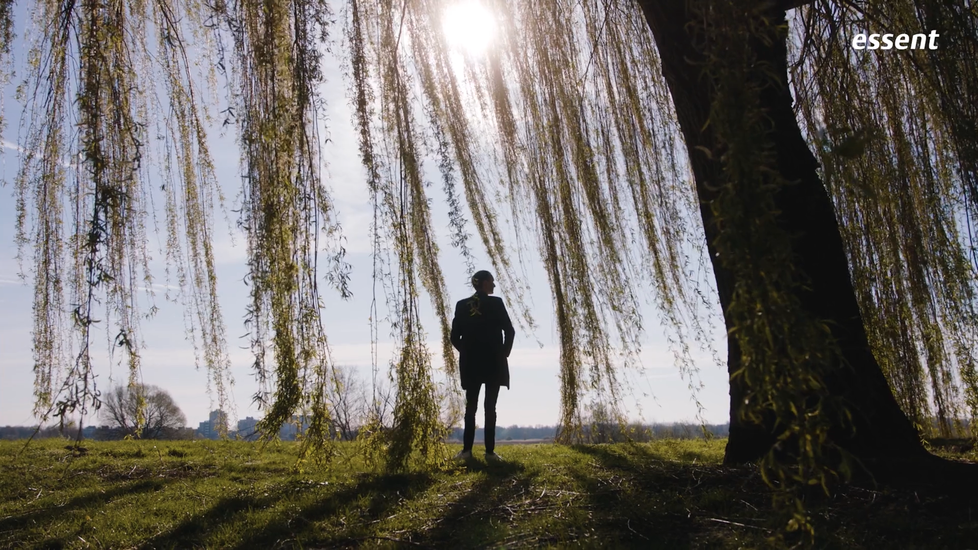 Man bij boom op het gras met de zon