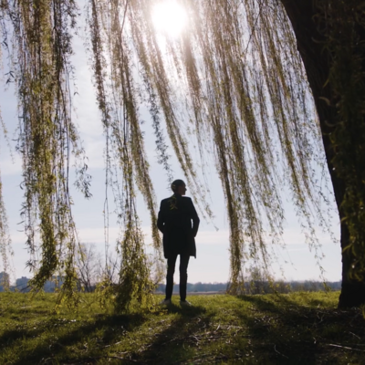 Man bij boom op het gras met de zon